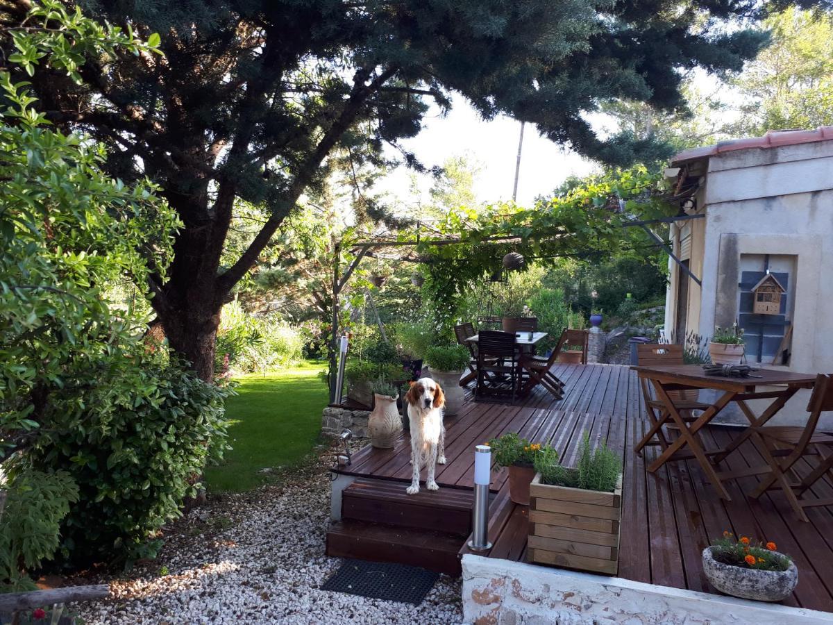 Chez Patricia & Denis Bed & Breakfast Flassans-sur-Issole Exterior photo